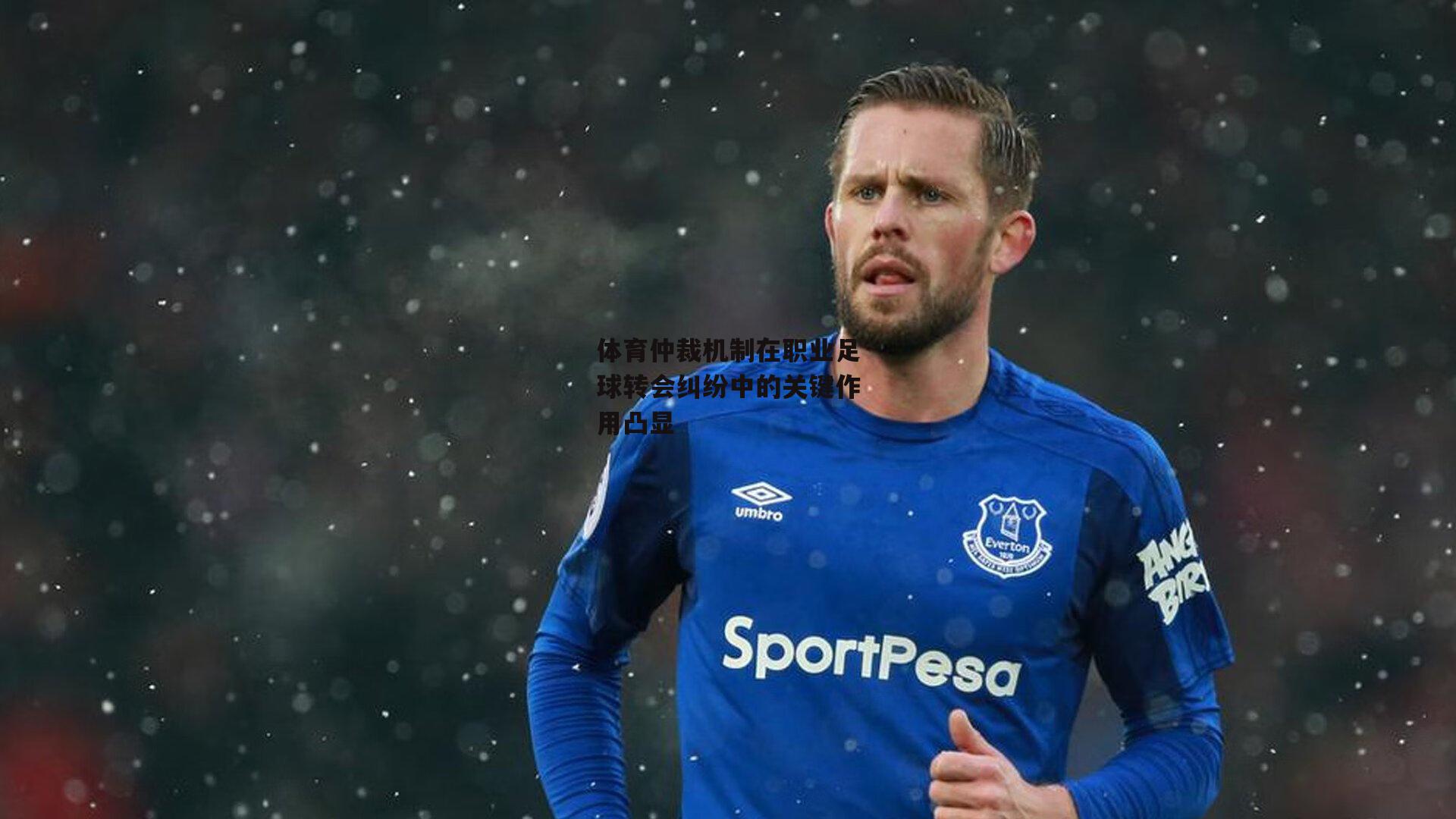 体育仲裁机制在职业足球转会纠纷中的关键作用凸显